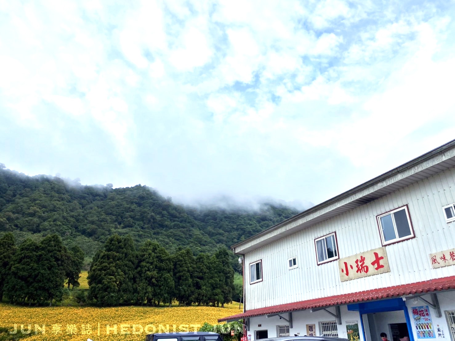 【花蓮玉里、富里】六十石山&赤柯山 兩大金針花名山一日遊 燃燒初秋的忘憂黃花 - 第55張圖