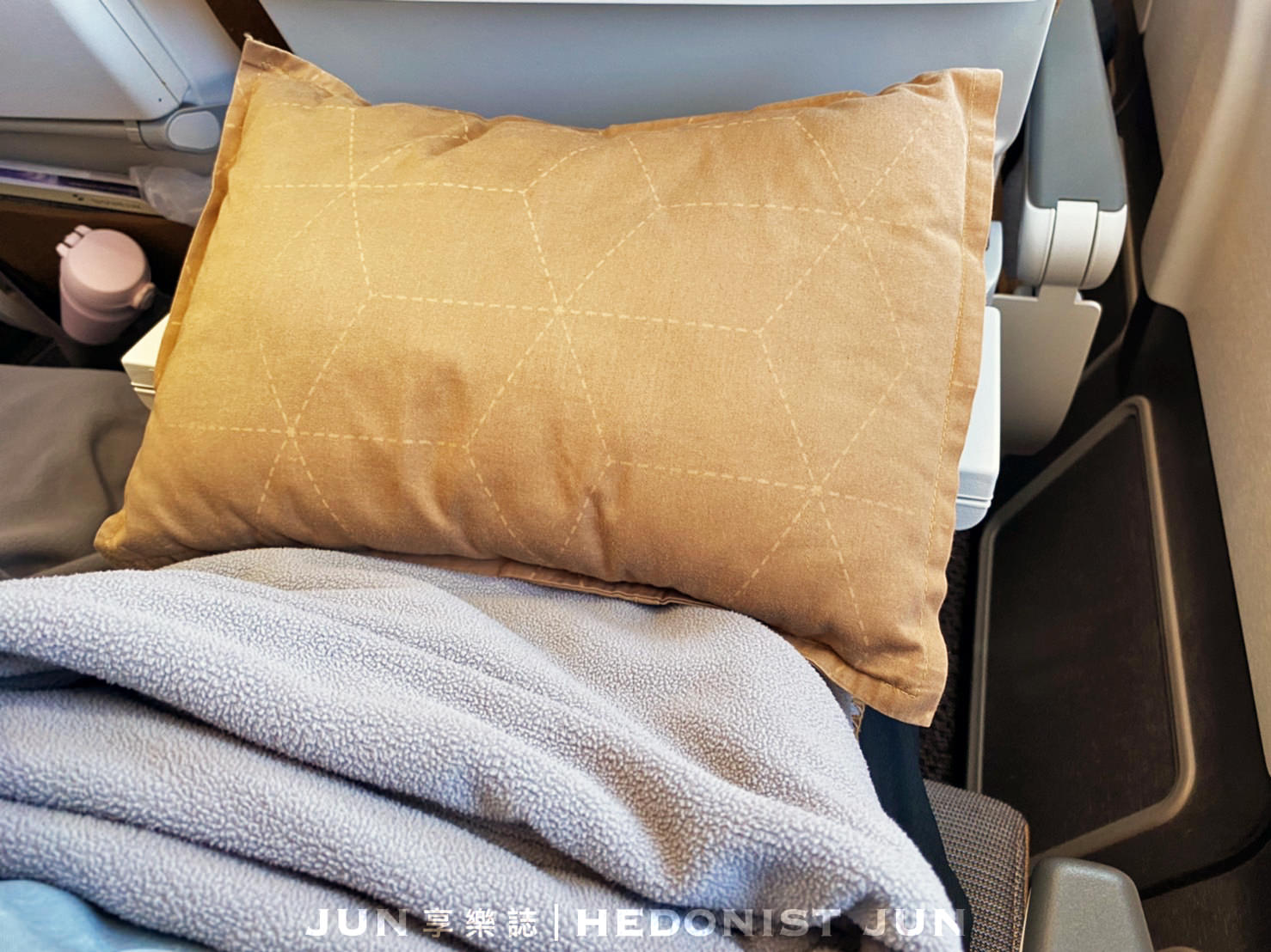 【新加坡之旅】星宇航空搭乘初體驗!台灣桃園(TPE)➝新加坡樟宜(SIN) - 第12張圖