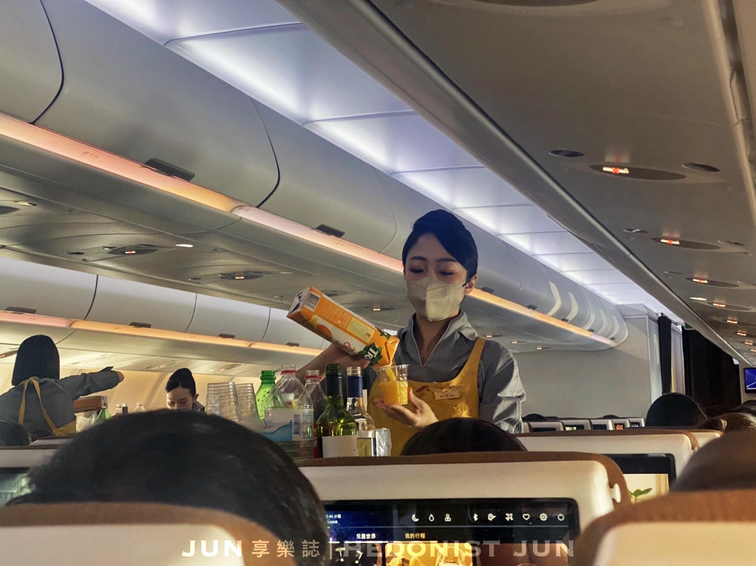 【新加坡之旅】星宇航空搭乘初體驗!台灣桃園(TPE)➝新加坡樟宜(SIN) - 第35張圖
