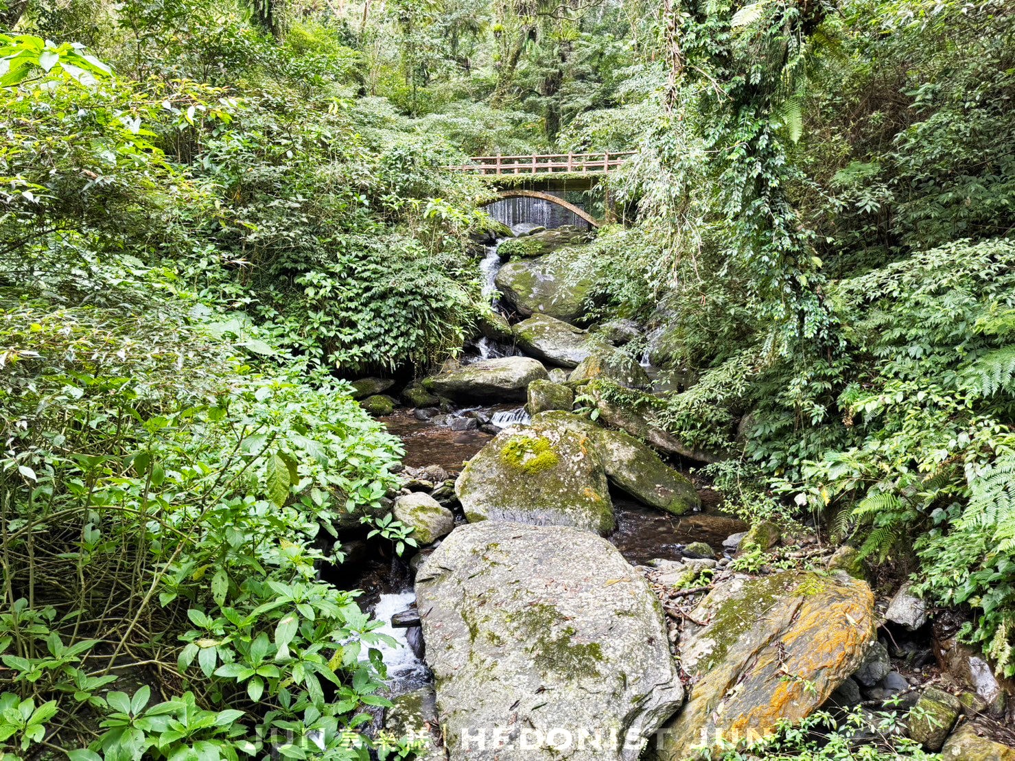 《2025烏來旅遊懶人包》別只逛老街!精選烏來5大最好玩清單 現在放下手機立馬衝! - 第46張圖