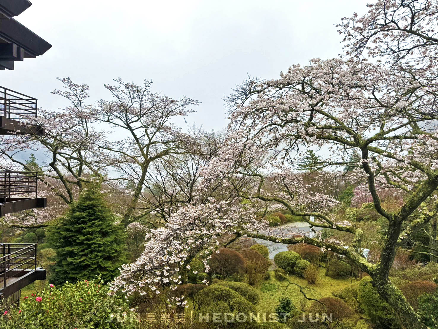 《東京‧箱根》MIKAWAYA RYOKAN箱根小湧園 三河屋旅館-絕頂日式溫泉飯店一泊二食體驗! - 第64張圖