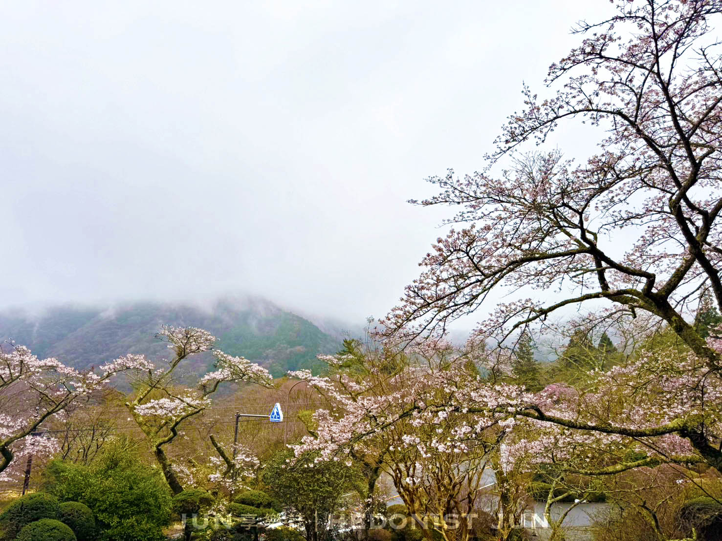 《東京‧箱根》MIKAWAYA RYOKAN箱根小湧園 三河屋旅館-絕頂日式溫泉飯店一泊二食體驗! - 第94張圖