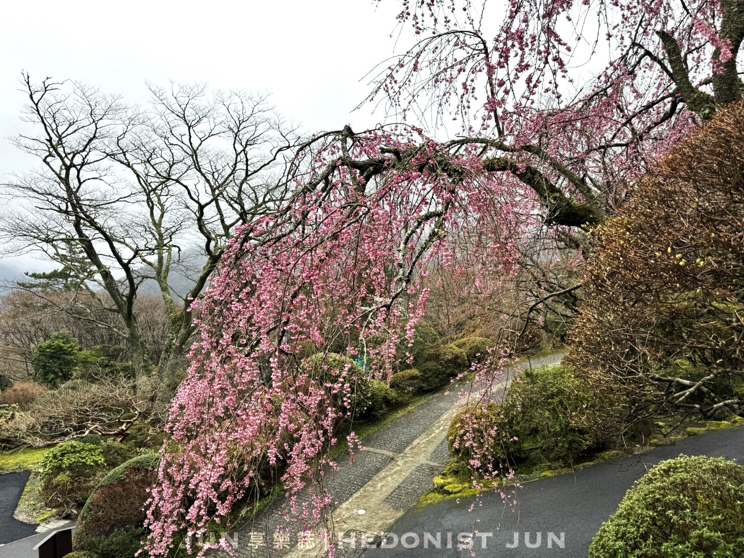 《東京‧箱根》MIKAWAYA RYOKAN箱根小湧園 三河屋旅館-絕頂日式溫泉飯店一泊二食體驗! - 第24張圖