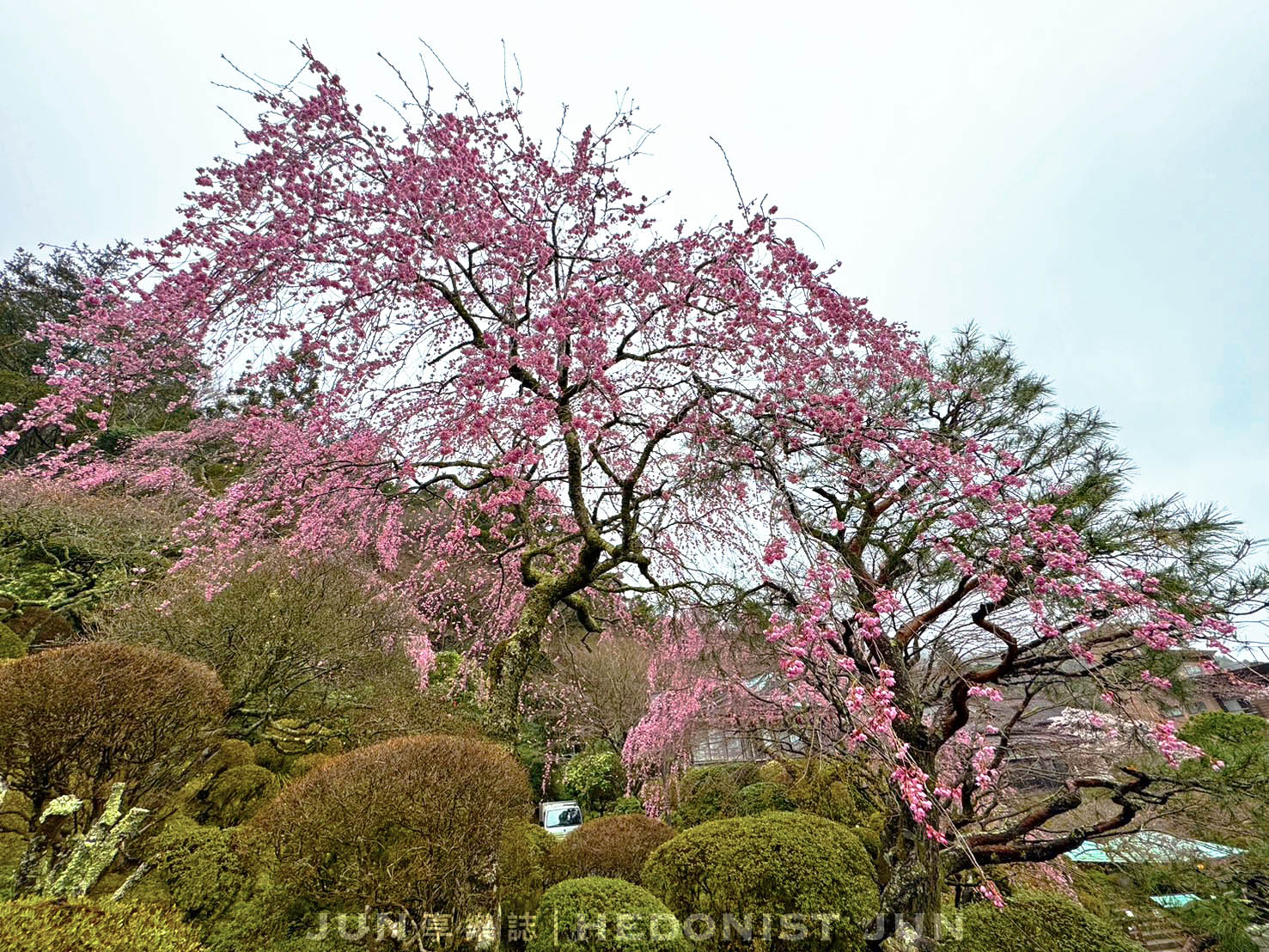《東京‧箱根》MIKAWAYA RYOKAN箱根小湧園 三河屋旅館-絕頂日式溫泉飯店一泊二食體驗! - 第25張圖