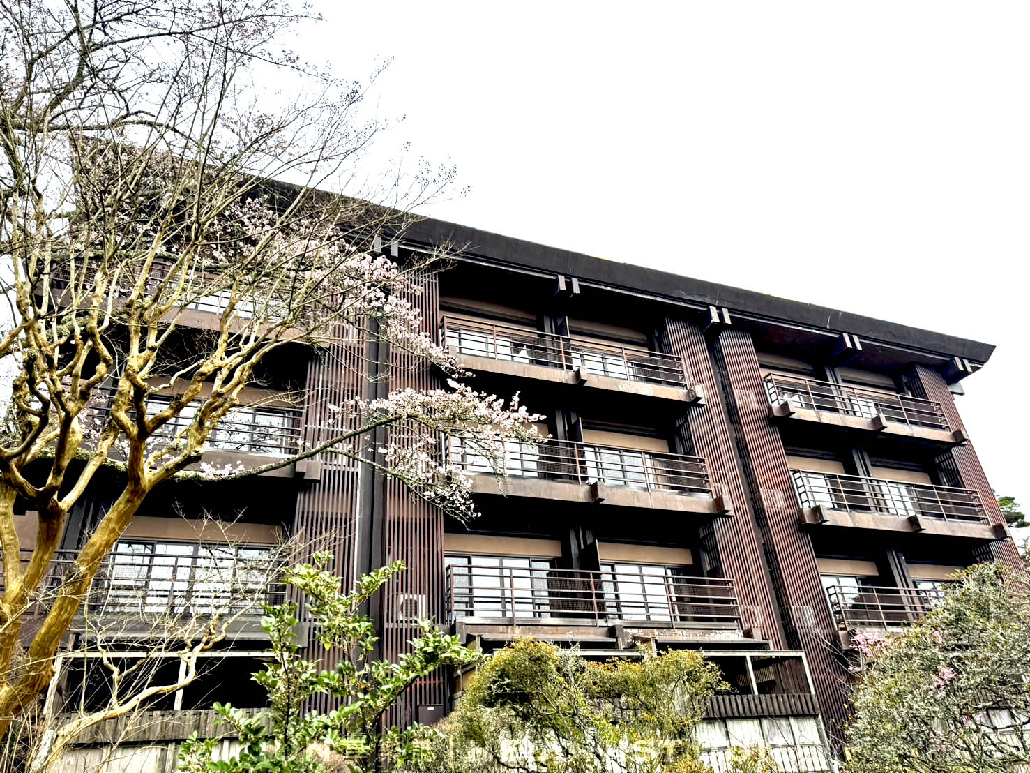 《東京‧箱根》MIKAWAYA RYOKAN箱根小湧園 三河屋旅館-絕頂日式溫泉飯店一泊二食體驗! - 第23張圖