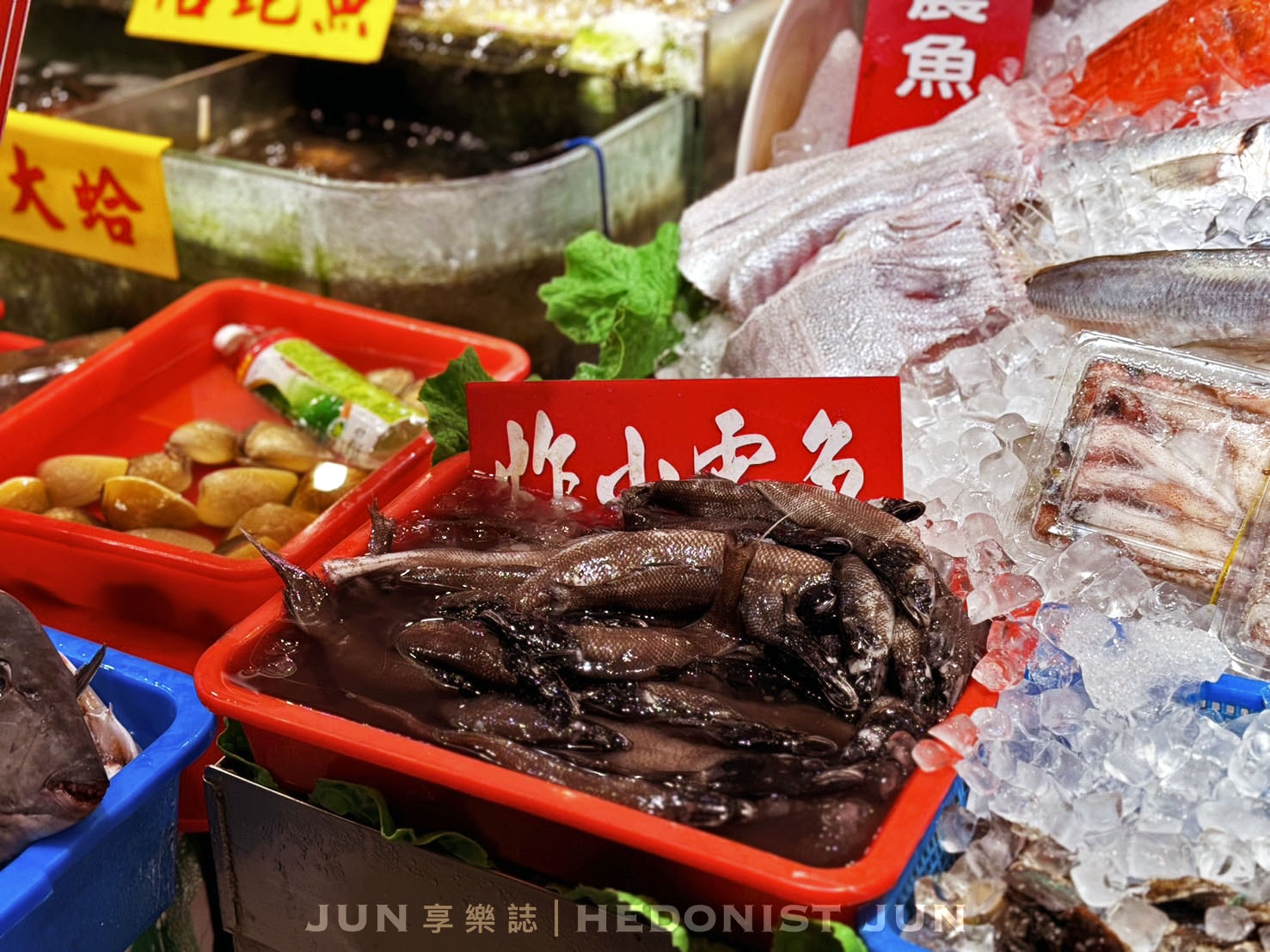 《台北‧中山》鵝肉城活海鮮-現撈活海產熱炒店 登上日雜封面台灣名片 - 第9張圖