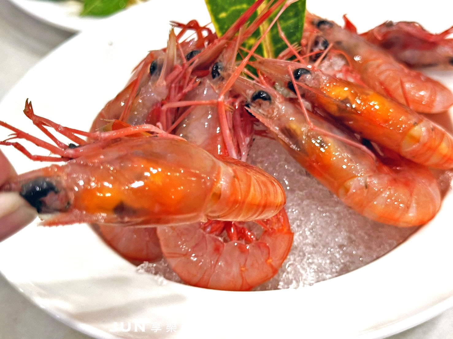 《台北‧中山》鵝肉城活海鮮-現撈活海產熱炒店 登上日雜封面台灣名片 - 第22張圖