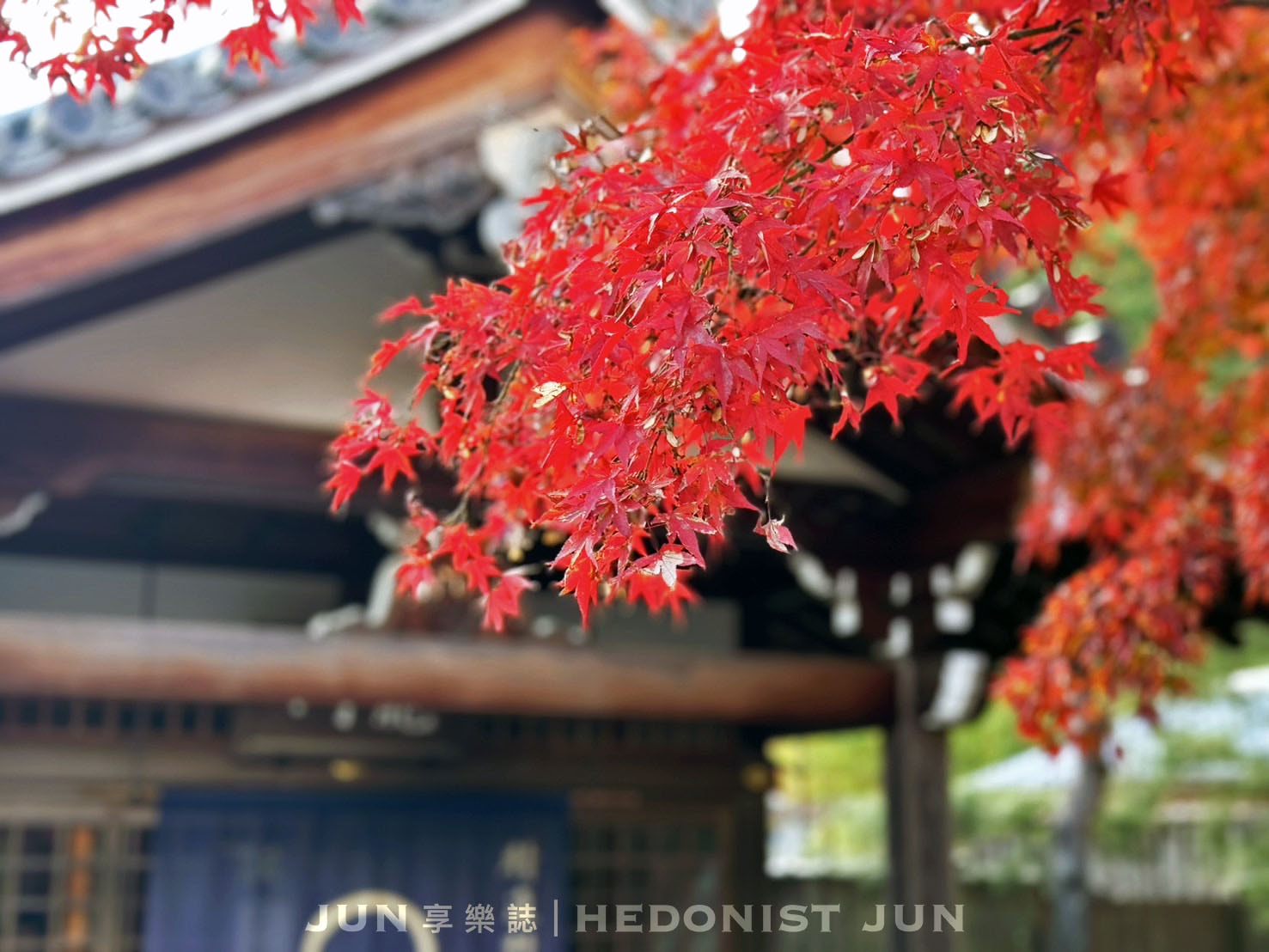 《京都‧嵐山》天龍寺 篩月-咀嚼素齋自然本味 細品古都百年故事 - 第13張圖