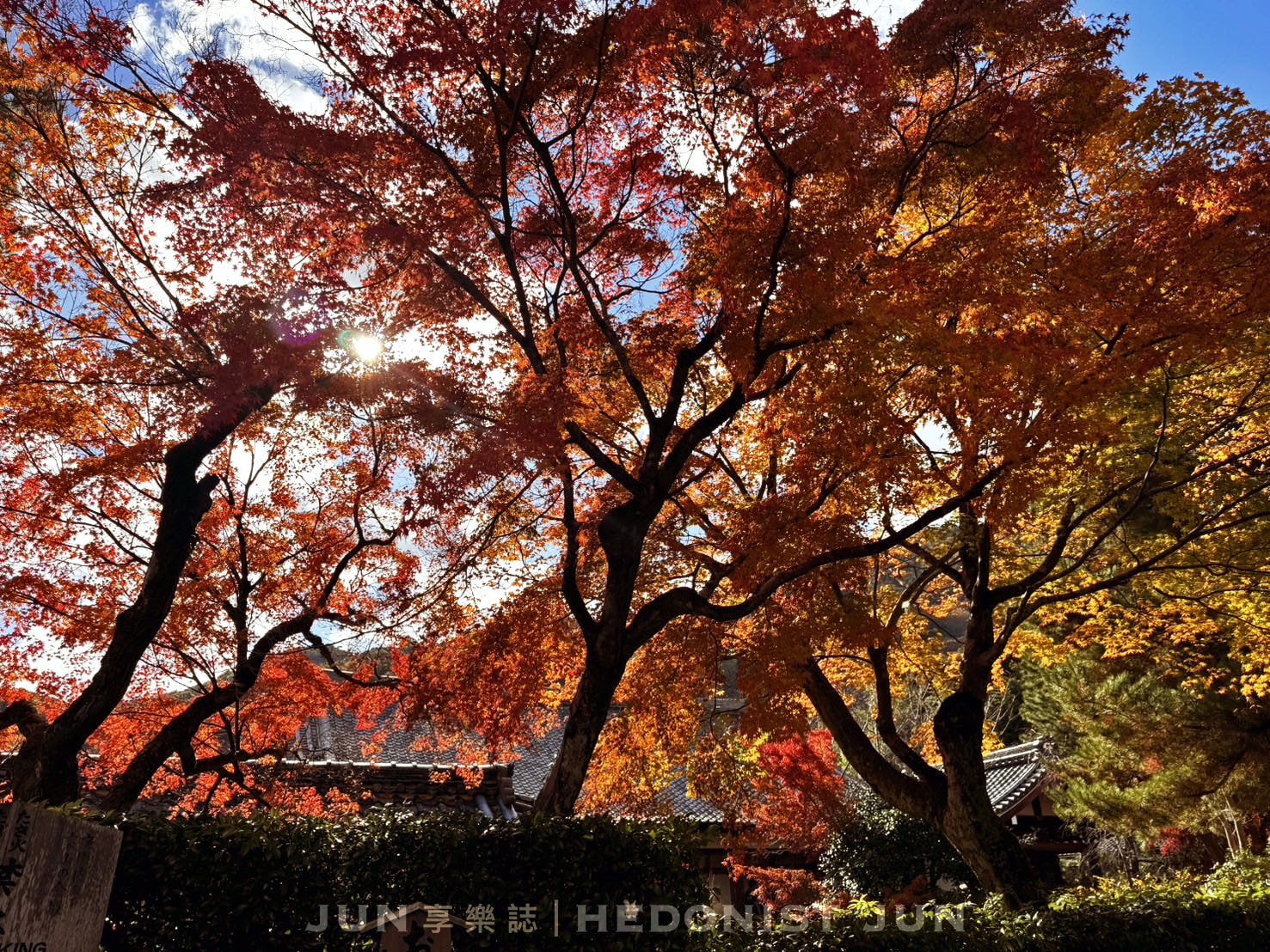 《京都‧嵐山》天龍寺 篩月-咀嚼素齋自然本味 細品古都百年故事 - 第12張圖
