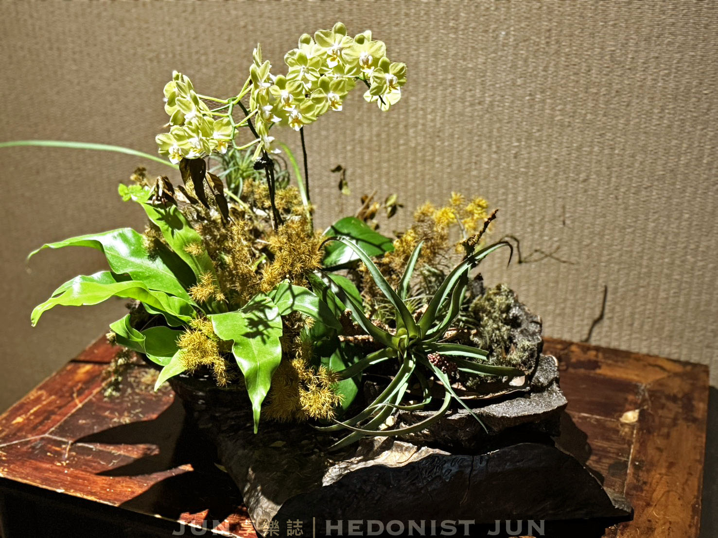 《台北.大安》燈燈庵-在四季流轉間細品自然 東京半世紀懷石老店在大安 - 第2張圖