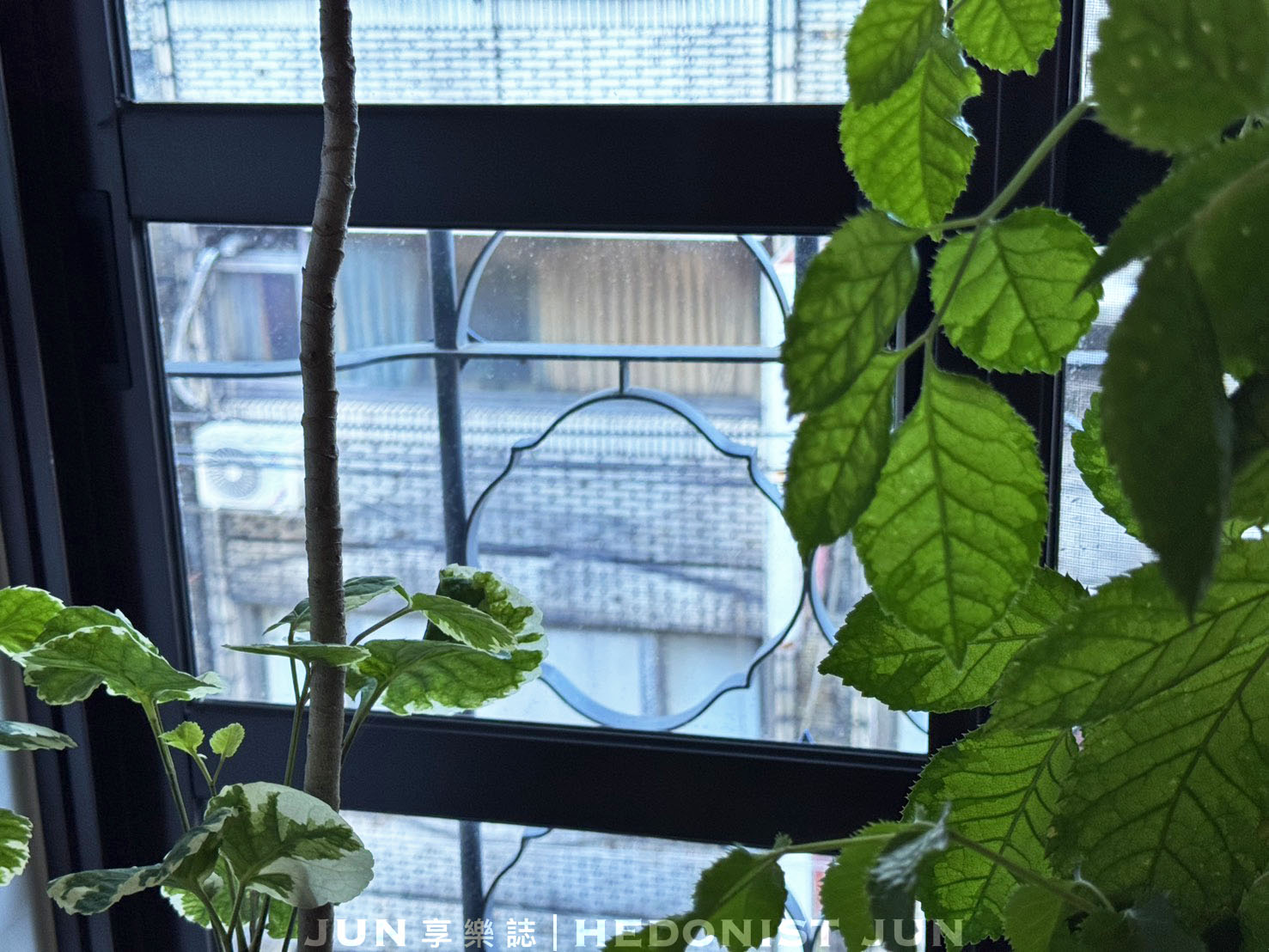 《基隆‧仁愛》安樓文旅Enzo House-診所洋樓變身氛圍旅宿 70年基隆老宅韶光慢駐 - 第52張圖