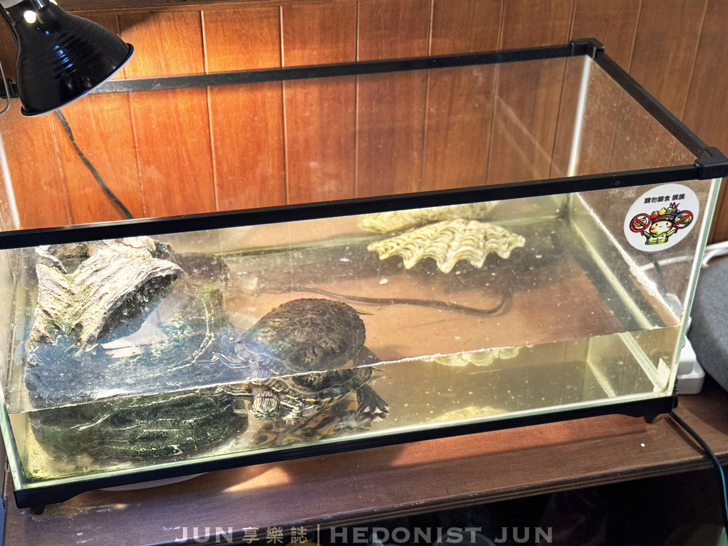 《基隆‧仁愛》安樓文旅Enzo House-診所洋樓變身氛圍旅宿 70年基隆老宅韶光慢駐 - 第18張圖