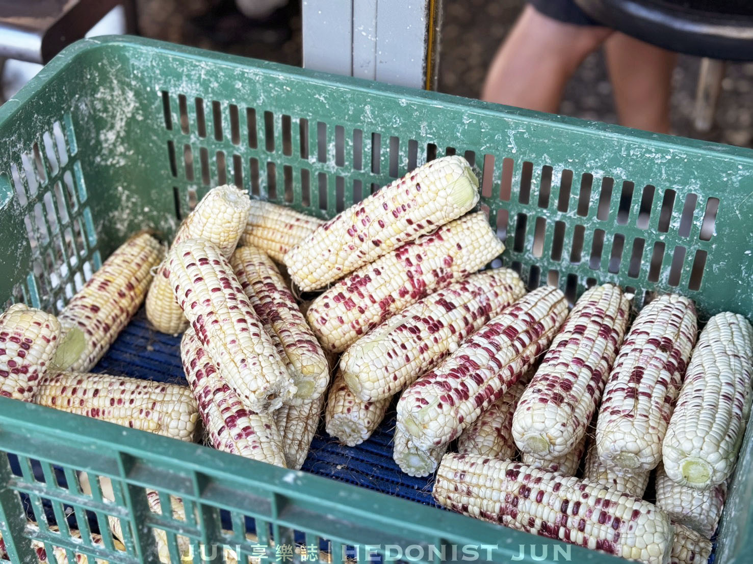 《嘉義‧東區》阿婆烤玉米-刷醬濃厚玉米香糯但等超久的超人氣烤玉米 - 第9張圖