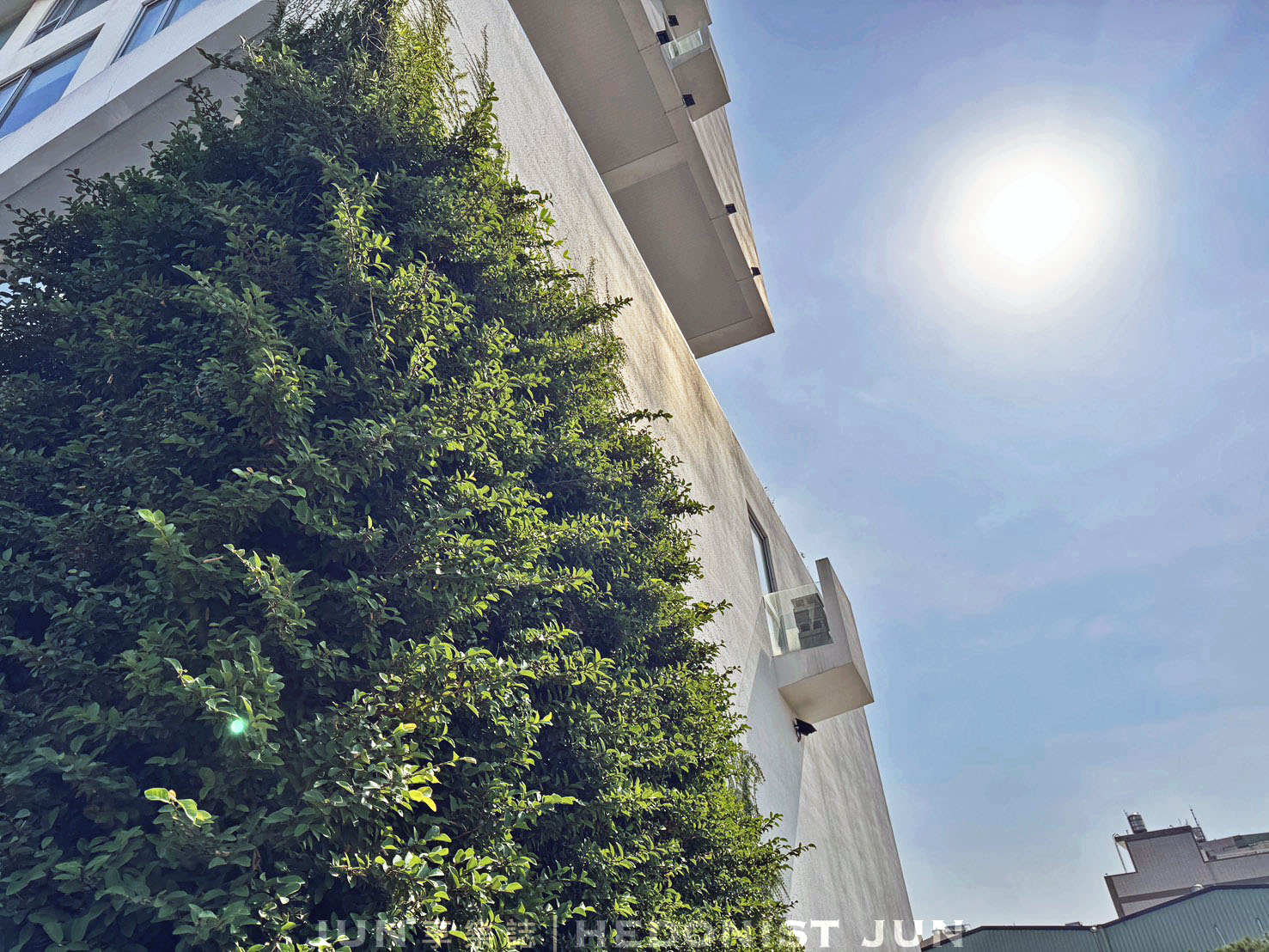 《嘉義旅宿》承億文旅 桃城茶樣子-靜下心細品嘉義最美茶文化主題旅宿