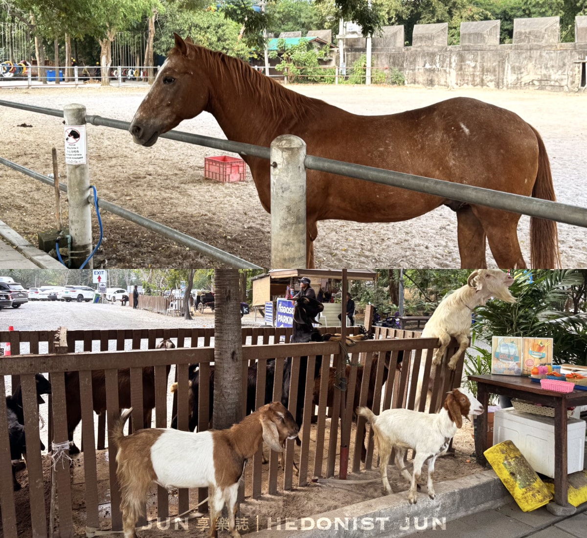 《泰國‧芭達雅》真理寺-走進全世界最大手工木雕寺廟 鬼斧神工華麗無比 - 第10張圖 《泰國‧芭達雅》真理寺-走進全世界最大手工木雕寺廟 鬼斧神工華麗無比